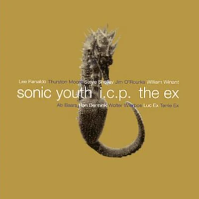 In The Fishtank 9 專輯 Sonic Youth