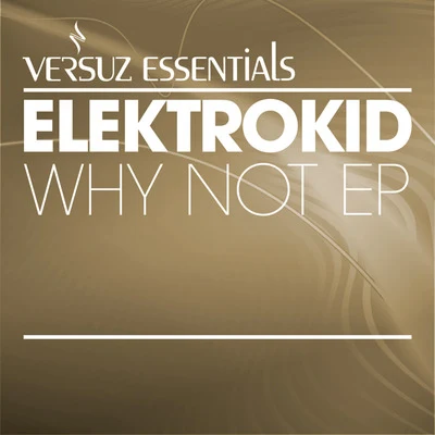 Elektrokid Why Not EP