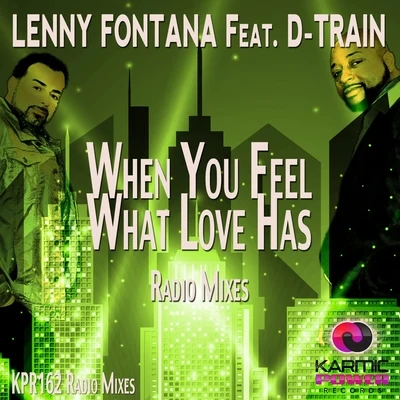 Lenny Fontana When You Feel What Love Has (Radio Mixes)