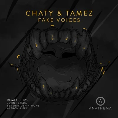 Fake Voices 專輯 Chaty/Gruvelements/Djulien Ferrantes/RNGDS/Alexander Ebisch