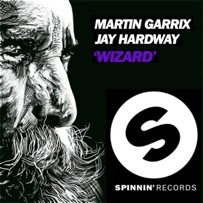 Wizard 專輯 Martin Garrix/Trilucid/DVBBS/Zoë Johnston/ilan Bluestone