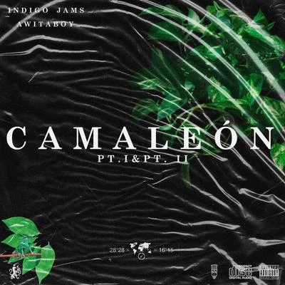 Camaleón 專輯 Indigo Jams