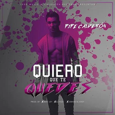 Quiero Que Te Quedes 專輯 Alexander Dj/Pipe Calderon