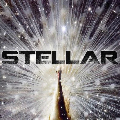 Solitaire 专辑 Eric (卓俊豪)/Stellar