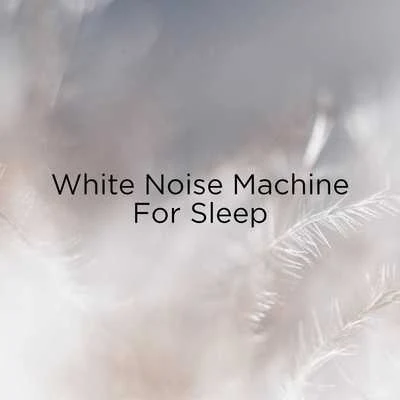 !!#01 White Noise Machine For Sleep 专辑 White Noise/Musica Para Dormir Bebes/Dreaming In The Clouds