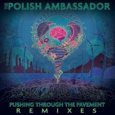 The Polish Ambassador Pushing Through the Pavement (Remixes)