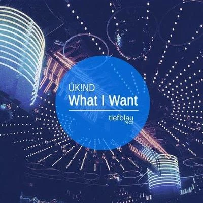 Liva KInner Rebels What I Want (Liva K Remix)