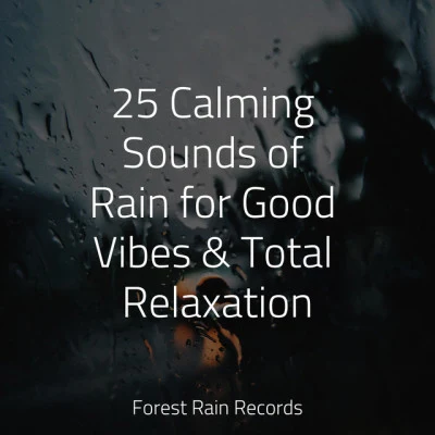 25 Calming Sounds of Rain for Good Vibes & Total Relaxation 專輯 Nursery Rhymes