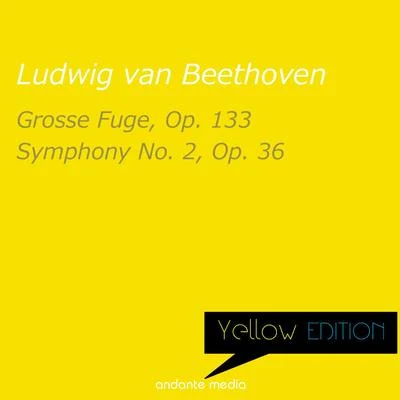 Yellow Edition - Beethoven: Grosse Fuge, Op. 133 & Symphony No. 2, Op. 36 專輯 Karl Goldmark/Bamberg Symphony/Fabrice Bollon