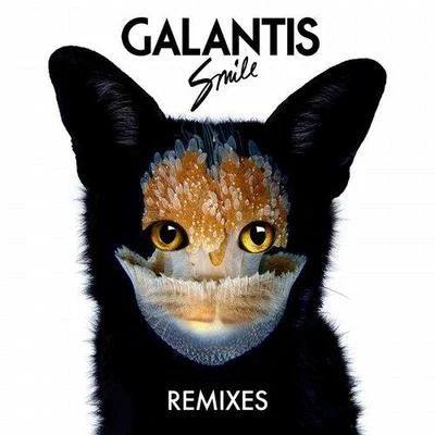 Smile (Remixes) 專輯 Galantis