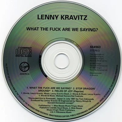 What The **** Are We Saying? 專輯 Lenny Kravitz