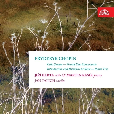 Chopin: Complete Works for Cello 專輯 Xenia Jankovic/Jan Talich/Silke Avenhaus/Guy Dangain/Jean-François Heisser