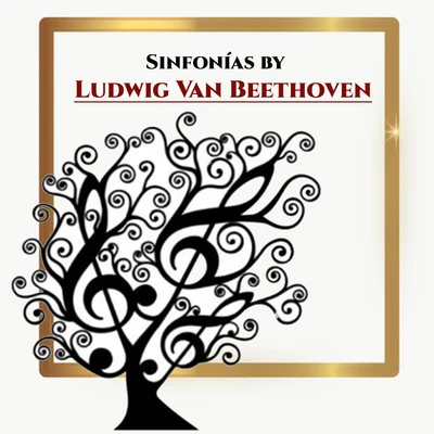 Henry AdolphLudwig van BeethovenSouth German Philharmonic Orchestra Sinfonías by Ludwig Van Beethoven