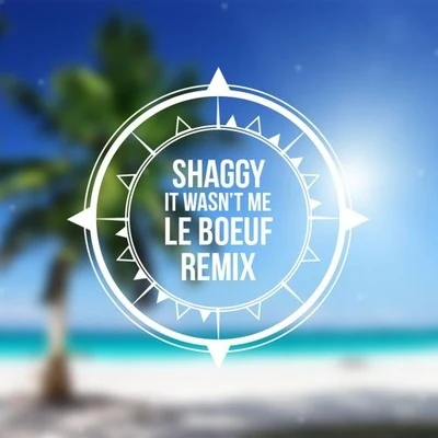 Le BoeufWarren GNate Dogg It Wasnt Me (Le Boeuf Remix)