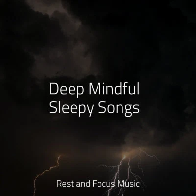 Deep Mindful Sleepy Songs 專輯 Egyptian Meditation Temple/Entspannungsmusik Oase/White Noise Babies