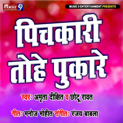 Pichkari Tohe Pukare 專輯 Amrita Dixit