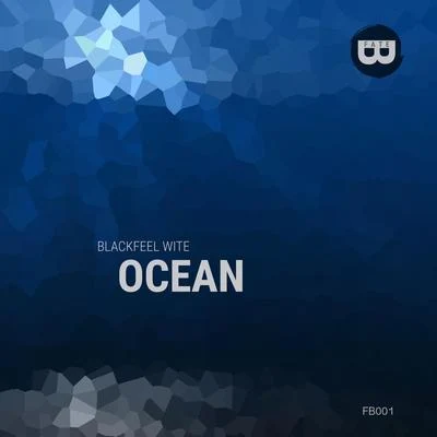 Ocean 專輯 Blackfeel Wite/Timur Shafiev