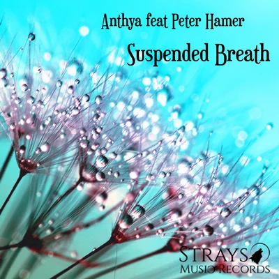 Suspended Breath 专辑 Anthya