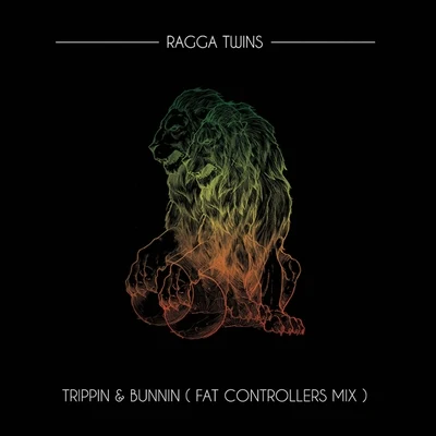 Trippin & Bunnin (Fat Controller Mix) 專輯 Ragga Twins/Aky