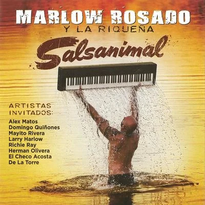 Salsanimal 專輯 Marlow