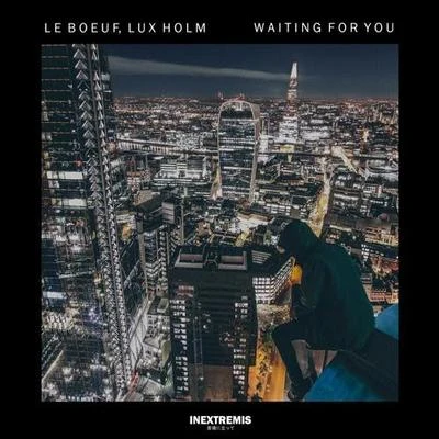 Waiting For You (Lux Holm Remix) 专辑 Lux Holm/Slashtaq