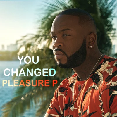 You Changed 专辑 Pleasure P