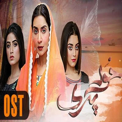 Hoor Pari OST 专辑 Waqar Ali/Sahir Ali Bagga/Quintino & Blasterjaxx/Shani Arshad/Shiraz Uppal