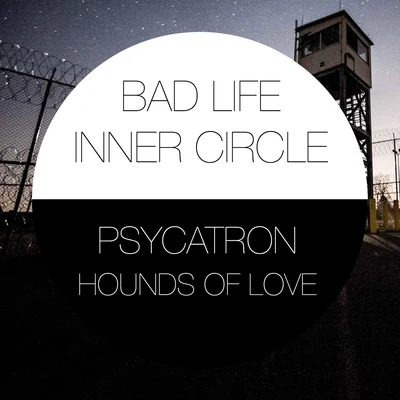 Psycatron Presents Hounds of Love 專輯 psycatron/Detroit Grand Pubahs