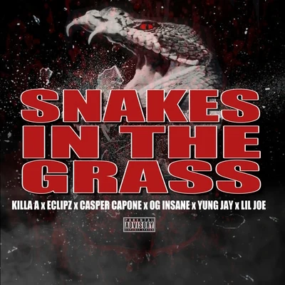 Snake in the Grass (feat. Eclipz, OG Insane, Lil Joe & Yung Jay) 專輯 Casper Capone/HEX/Eclipz