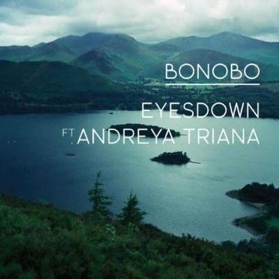 Bonobo Eyes Down (T.E.S.T. ReDdit)