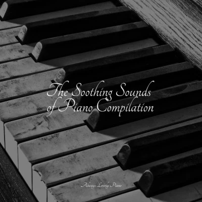 The Soothing Sounds of Piano Compilation 專輯 Piano Suave Relajante/Chill Out Music Cafe/Baby Sleep Music