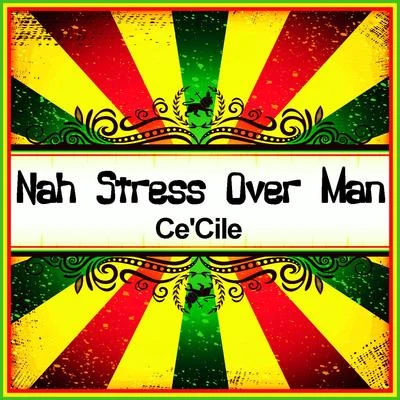 Nah Stress over Man (Ringtone) 專輯 CeCile/Kalash/DJ Fly