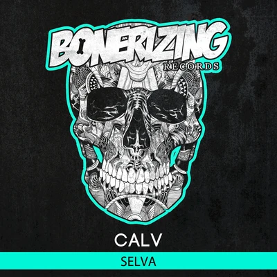 Selva 专辑 CALV/Revealed Recordings