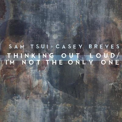 Thinking out LoudIm Not the Only One 專輯 Sam Tsui