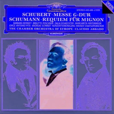 Requiem fuer Mignon aus Goethes "Wilhelm Meister",op.98b for soloists, chorus and orchestra 專輯 Barbara Bonney