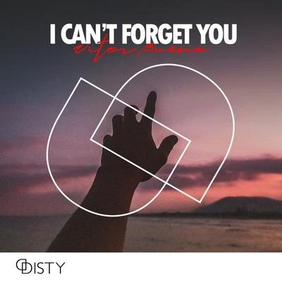 I Can&#x27;t Forget You 专辑 Alija/Flowavez/Vitor Bueno