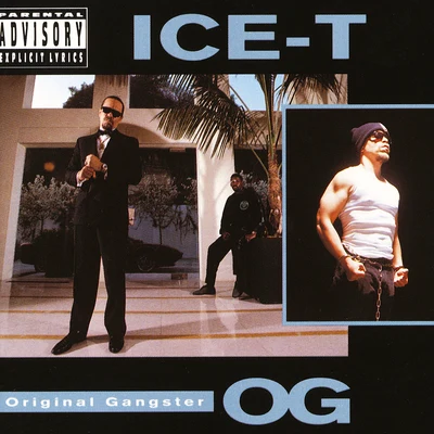 The Complete Sire Albums 1987 - 1991 专辑 ICE-T/Ice T