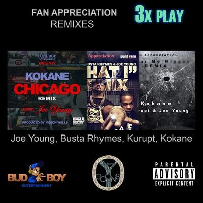 Fan Appreciation Remixes 3x Play 專輯 Kokane/LoKey Tha YG