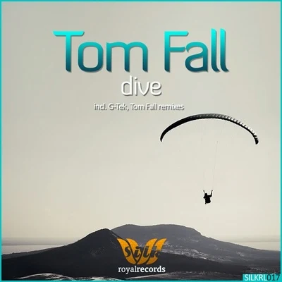 Dive 專輯 Tom Fall/Protoculture/Ashley Wallbridge/Vigri/Dash Berlin