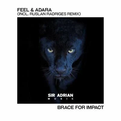 Brace For Impact (Ruslan Radriges remix) 專輯 Lennard Elliot/Ruslan Radriges