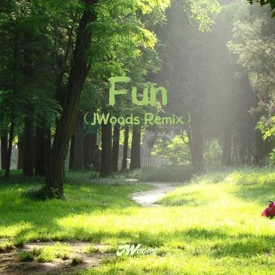 Fun (JWoods Remix) 专辑 JWoods