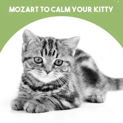 Mozart to calm your Kitty 專輯 Eric Heidsieck/János Starker/Christian Ferras/Jean Martinon/Charles Bruck