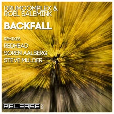 Backfall 專輯 Roel Salemink