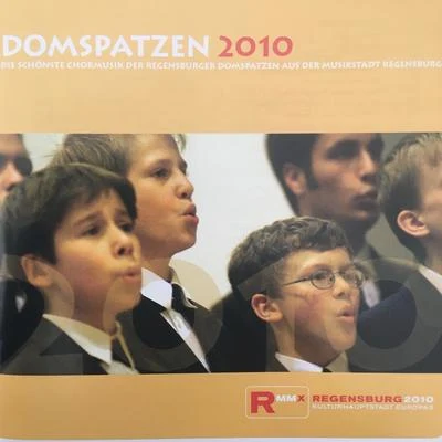 Domspatzen 2010 - Die schönste Chormusik der Regensburger Domspatzen aus der Musikstadt Regensburg 專輯 Roland Buchner/Regensburger Domspatzen