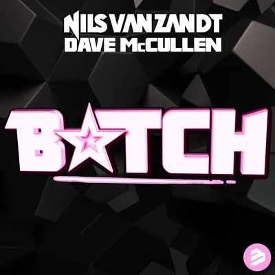 ***** (feat. Dave McCullen) 专辑 Nils van Zandt