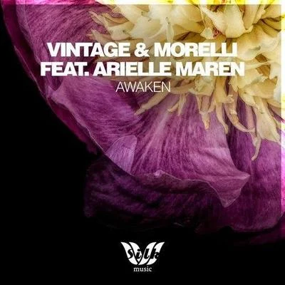 Awaken 專輯 Vintage & Morelli/Rainbow Addict