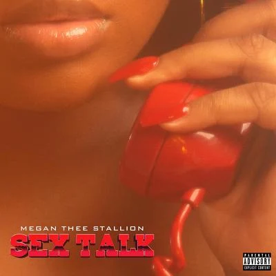 Megan Thee Stallion *** Talk