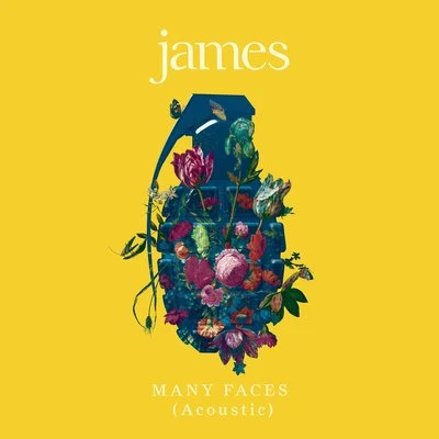 Many Faces (Acoustic) 專輯 Half Japanese/James/The Telescopes/Revenge/The Mock Turtles