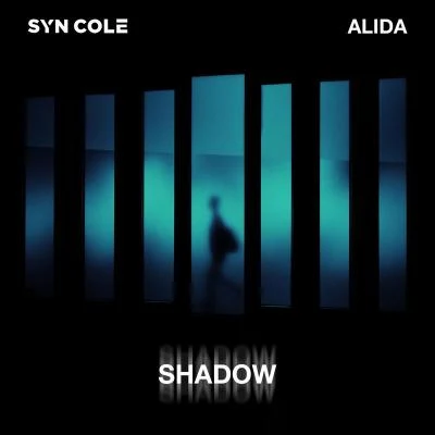 Shadow 专辑 Alida/Maybon