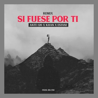 Si Fuese por Ti - Remix 專輯 Estani